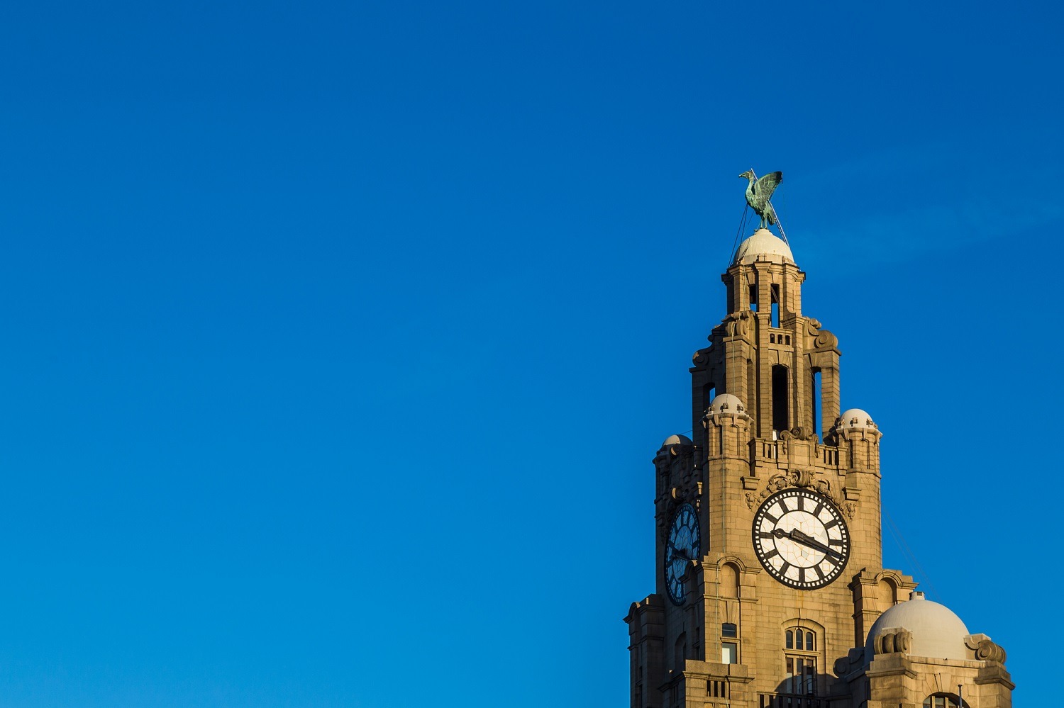 Liver Birds